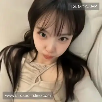 韦保易